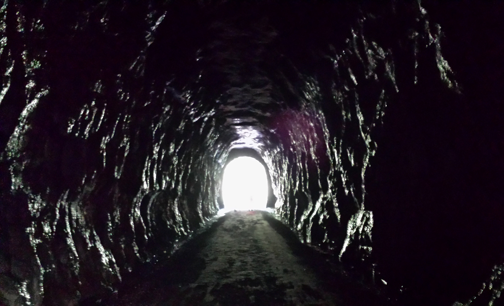 Elroy Sparta Trail Tunnel