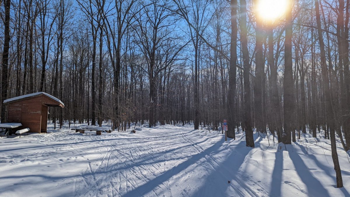 Cross Country Ski trail at Nine Mile Forest