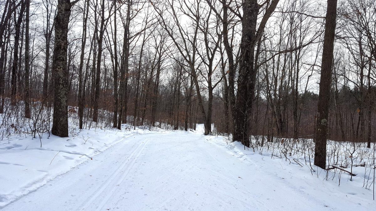 Nine Mile Forest Cross Country Skiing