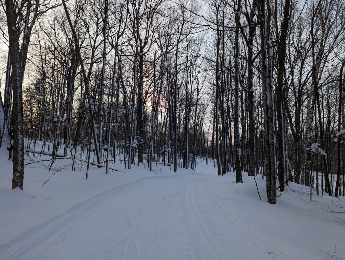 Cross country ski trail through the woods groomed for both classic and skate. The sun is setting in the distance.