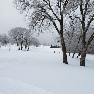 Pleasant View Golf Course Ski Trails, Middleton, WI