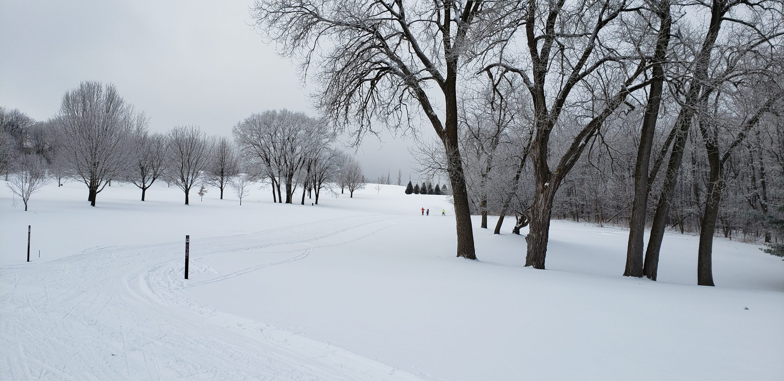 Pleasant View Golf Course Ski Trails, Middleton, WI